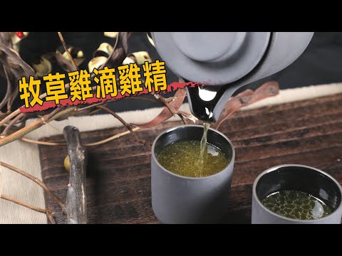 牧草雞滴雞精
