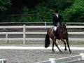 Leonhard Dressage First Level Test 1
