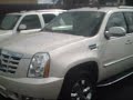CADILLAC by Michael Night "The New York Cowboy"