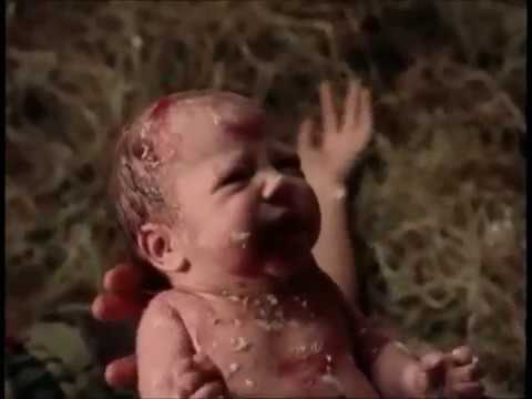 Xena Protects Gabrielle and Baby Hope