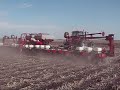 Planting 2008 Planting 2008