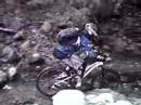 Downieville rock garden
