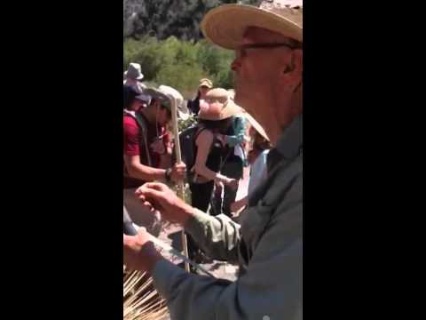 how to remove yucca leaves