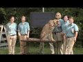 Cheetah Sets Record-Cincinnati Zoo