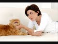 chanson de liane foly- album cam�l�on