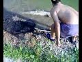 Il mio primo storione Il mio primo storione