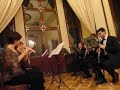 bedrich smetana - my country - vltava