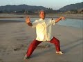 Chen Style Tai-Chi