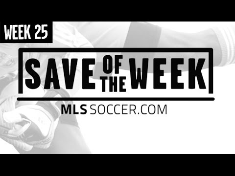 Video: 2014 Save of the Week Nominees: Week 25