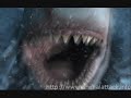 Megalodon Megalodon
