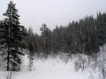 Frost
