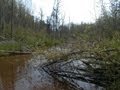 La Nature de l'Abitibi Témiscamingue, Ville d'Amos (Québec)