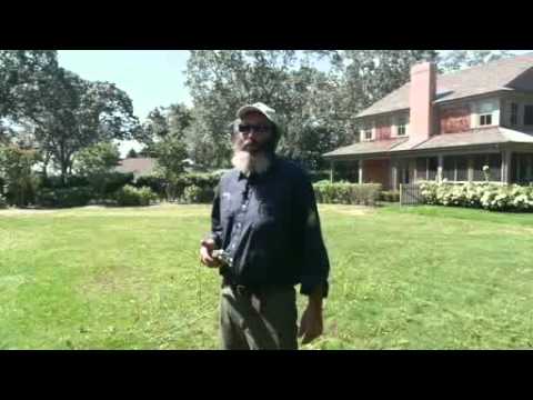 how to fertilize cryptomeria