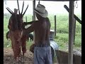 RANCHO LLANERO RANCHO LLANERO