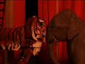 Tiger - Serafina Steer