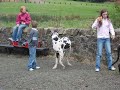 Beecraigs
