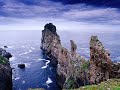 Mythological Origins of the Irish Race