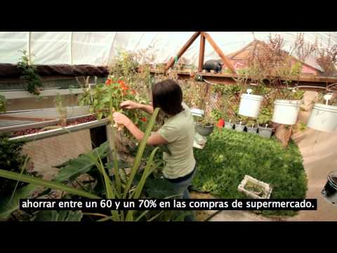 Granja sustentable en pleno desierto.