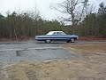 impala