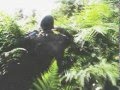 GAMEKINGS GOES AIRBORNE