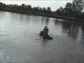 Flea in Pond