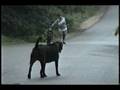videos de 1992 June Harrison Maine Part 3 - Mopeds