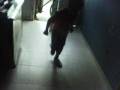 mateo t