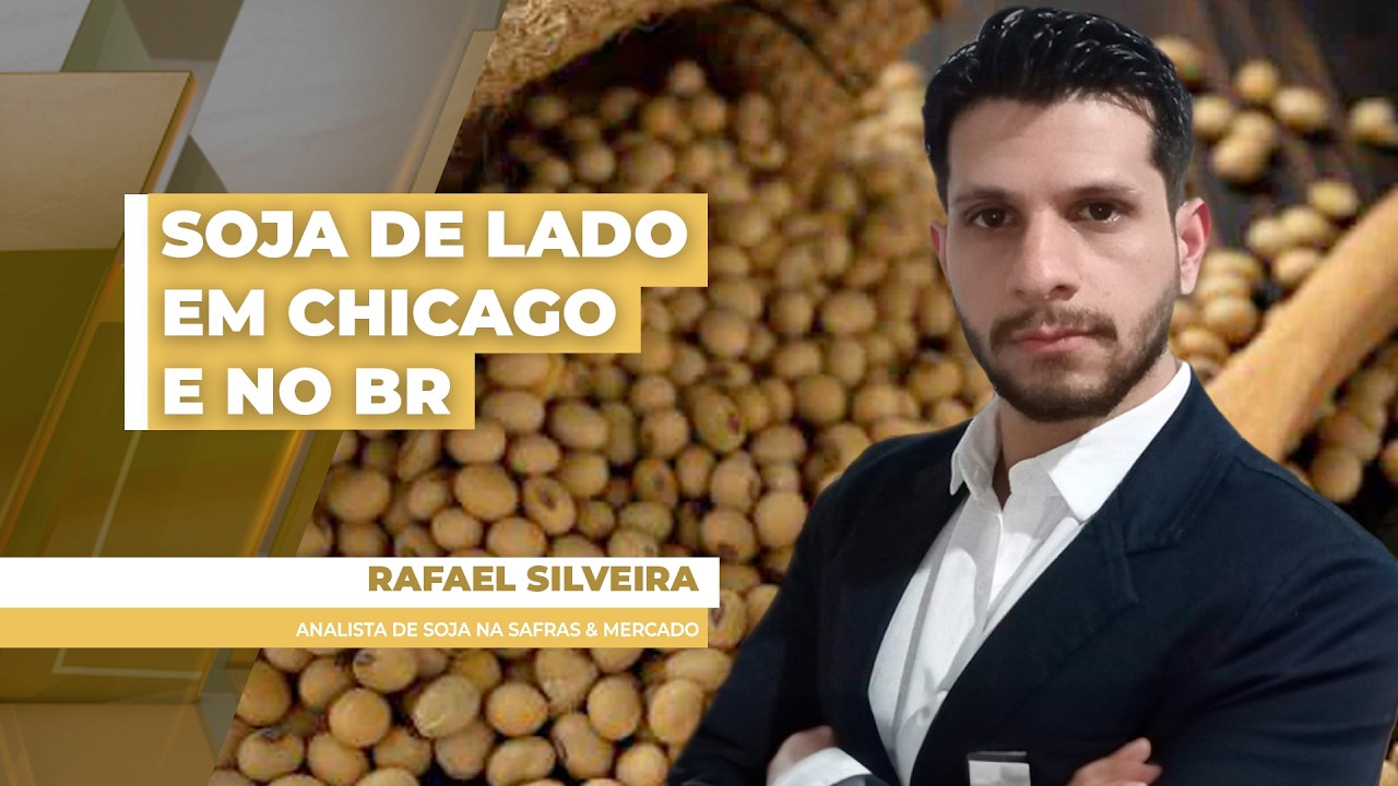 Preços da soja no Brasil tem 2ª feira de estabilidade e porto ainda nos R$ 128; Chicago fecha de