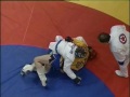 СПОРТ, РОЖДЕННЫЙ В  РОССИИ ВЕСЬ ЗЕМНОЙ ШАР ОБОШЕЛ КАЖДЫЙ ИЗ НАС НА СВЕТЕ В  САМБО СЕБЯ НАШЕЛСАМБО -НАШ ПУТЬ К ПОБЕДЕ САМБО ВСЕГДА ВПЕРЕД!САМБО -ХАРАКТЕР И  ВОЛЯ,САМБО - НАШ СПОРТ!