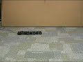 CkBot Gaussian Pulse Gait