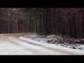ACP action highlights: 100 Acre Wood Rally