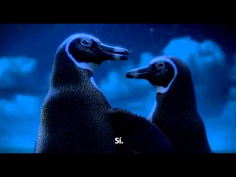 Imagen de previsualización de YouTube