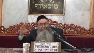 הרב שמעון רז – הכנה לליל הסדר