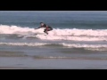 Surfhouse 2005 Teil 3.mp4