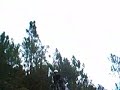 MTB/DH - ROSA, MIGUELITO E KTM - Torgas em Sintra