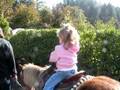 HG Pony Ride