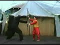 Tarran Vail Martial arts demo 12 years old