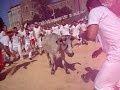 Vachettes � Bayonne 2007