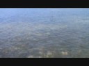 Fly Fishing for Bonefish in The Lower Florida Keys