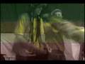 BSD - Rastaman
