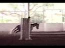 Roxie Showpark Indoor Arena Table 2B Jump Off Roxie Showpark Indoor Arena Table 2B Jump Off