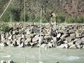Su ve Balık