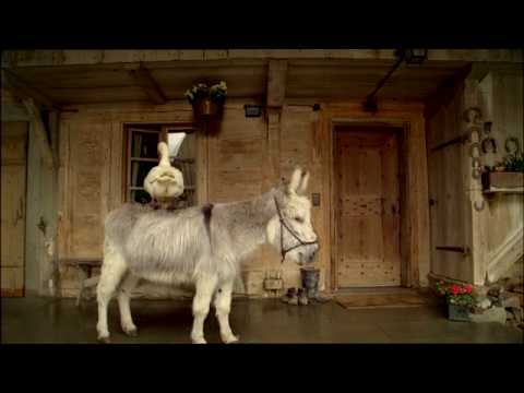 Migros Spot: Sostenibilit&agrave;
