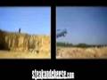 YouTube - Extreme Trap Shooting