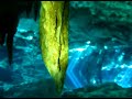 Cenote Dive, Yucatan, Mexico Cenote Dive, Yucatan, Mexico
