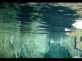 Cenote Dive, Yucatan, Mexico