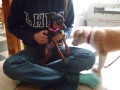 my bffs