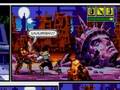 MD Comix Zone