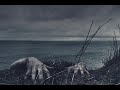 Seaside Haunt Halloween Attraction