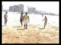 Professor Piolho CDO